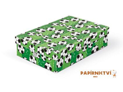 Školní krabice na výtvarné potřeby 330 x 225 x 80 8021134