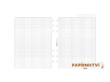 Filofax, Papíry pro diáře, čtverečkované, A5, bílá