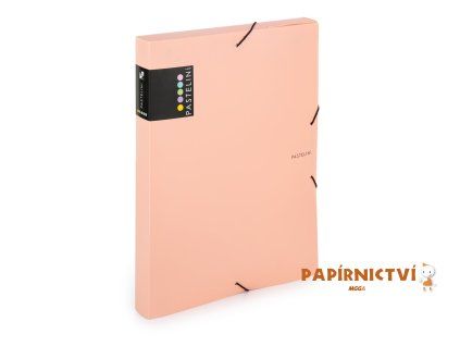 Krabice PP s gumou A4 PASTELINI meruňková 2-967