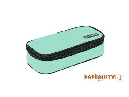 Pouzdro etue komfort UNICOLOR Mint 6-63126