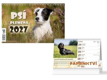 Kalendář 2027 stolní Psí plemena 1061777