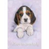 Album na samolepky Cuties T663274