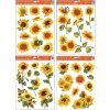 Okenní fólie slunečnice 38x30cm 888