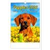 Nástěnný kalendář Puppies/Welpen/Štěňátka/Šteniatka 2026 240x330mm N181-26