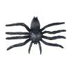 Pavouk plast 6cm 6pcs černý 1042557