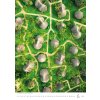 N139 27 006